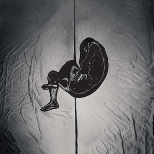 近相亲祖母60集免费
