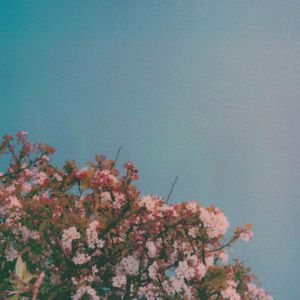 近相亲祖母60集免费
